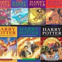 The Harry Potter Series on Random Best Fantasy Book Series