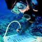 Marine Science is listed (or ranked) 24 on the list What Was (or Is) Your Major?