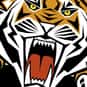 West Tigers is listed (or ranked) 16 on the list Super Rugby 2013 - Ladder Prediction