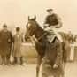 Martin Molony is listed (or ranked) 36 on the list The Greatest Jockeys Ever