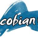 Cobian.com on Random Best Surf Gear Websites