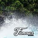 FamousSurf.com on Random Best Surf Gear Websites