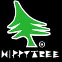 Hippytree.com on Random Best Surf Gear Websites