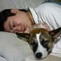 Sleeping is listed (or ranked) 2 on the list The Most Pleasurable Activities