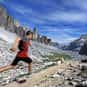 Trail Running is listed (or ranked) 13 on the list What's Your Favorite Form of Exercise?