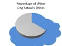 Percentage Of Water A Dog Actually Drinks on Random Hilarious Graphs That Everyone Can Relate To