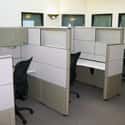 Cubicles on Random The Worst Things About Your Job