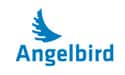 Angelbird Technologies on Random Best SSD Manufacturers