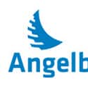 Angelbird Technologies on Random Best SSD Manufacturers