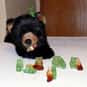 Parties is listed (or ranked) 23 on the list The Most Pleasurable Activities