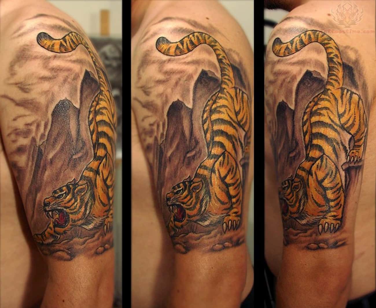 Tiger Half Sleeve Tattoos