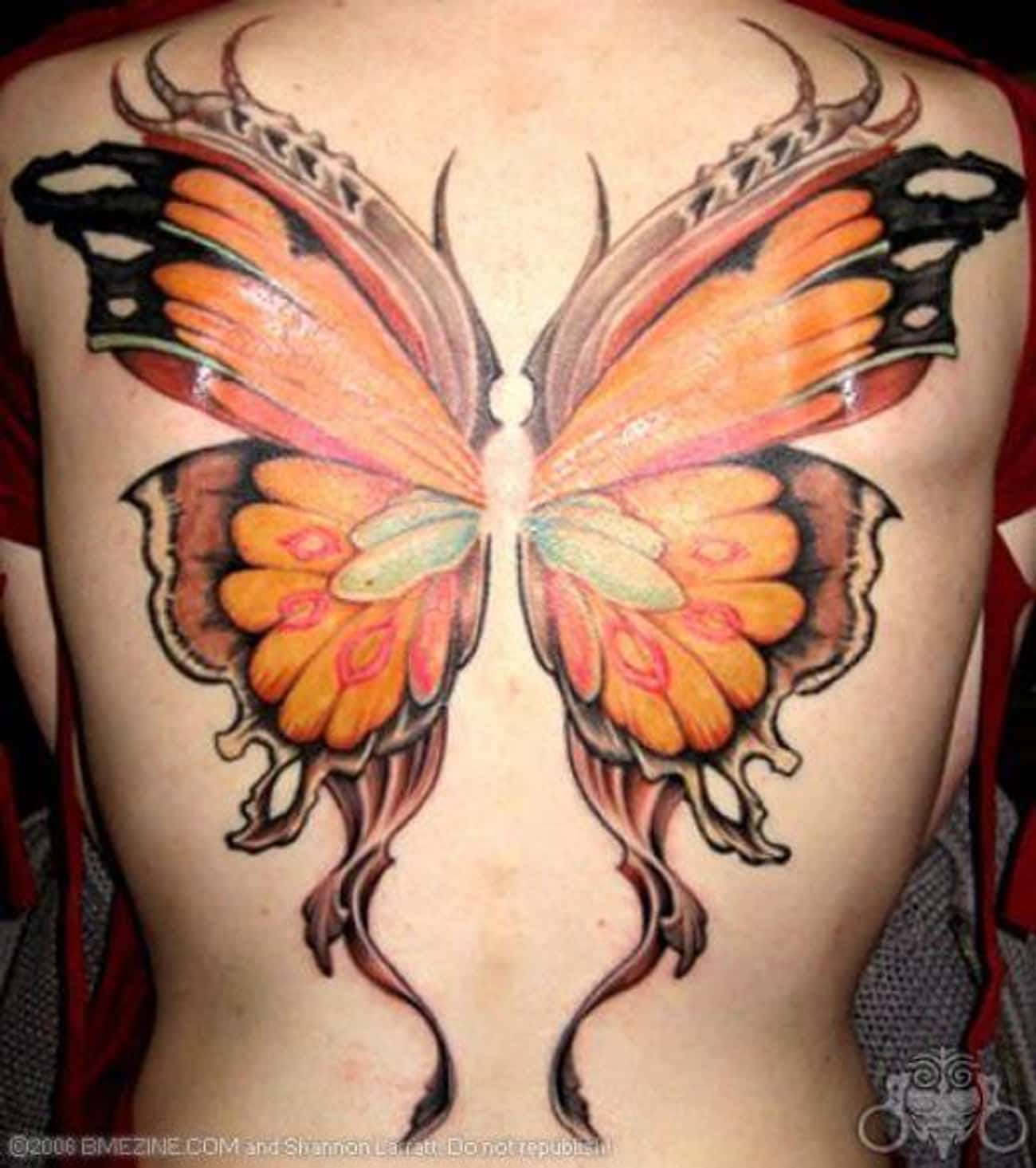 Тату Крылья бабочки на спине