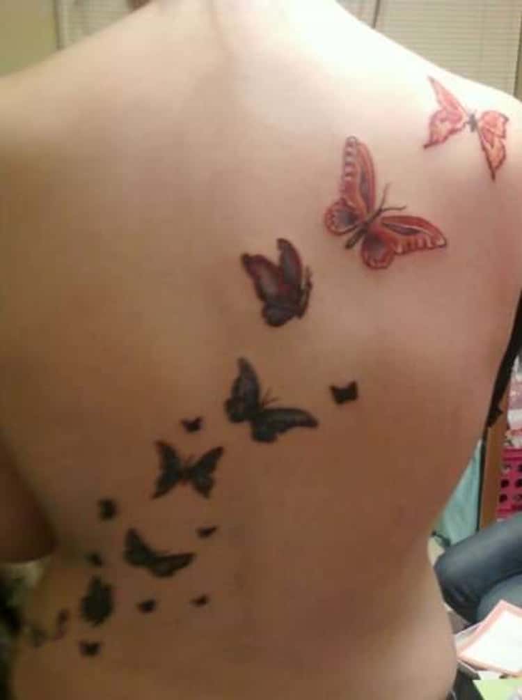 Butterfly Tattoos: Picture List Of Butterfly Tattoo Designs