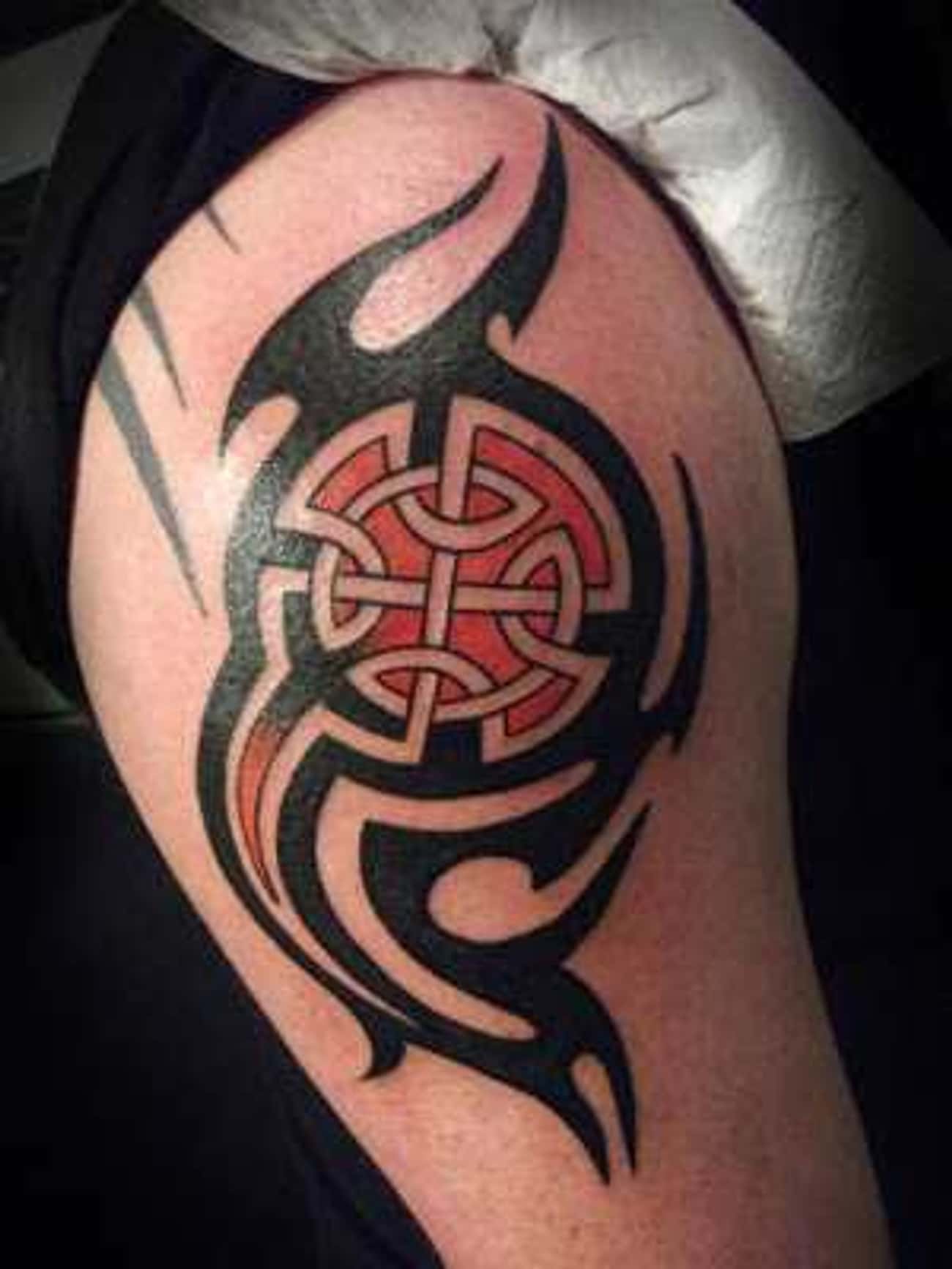 Celtic Shield Tattoos