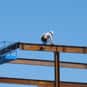 Structural Iron and Steel Work... is listed (or ranked) 8 on the list The Most Dangerous Jobs in America