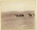 Mounted Crew, 1891 on Random Beautiful Old Photos Of Life In The Real Wild West