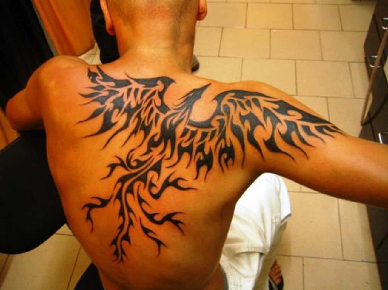 Phoenix Tribal Tattoos