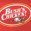 Bush's Chicken on Random Best Fried Chicken Restaurant Chains