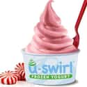 Yogurt Swirl on Random Best Chain Restaurants You'll Find In Mall Food Court