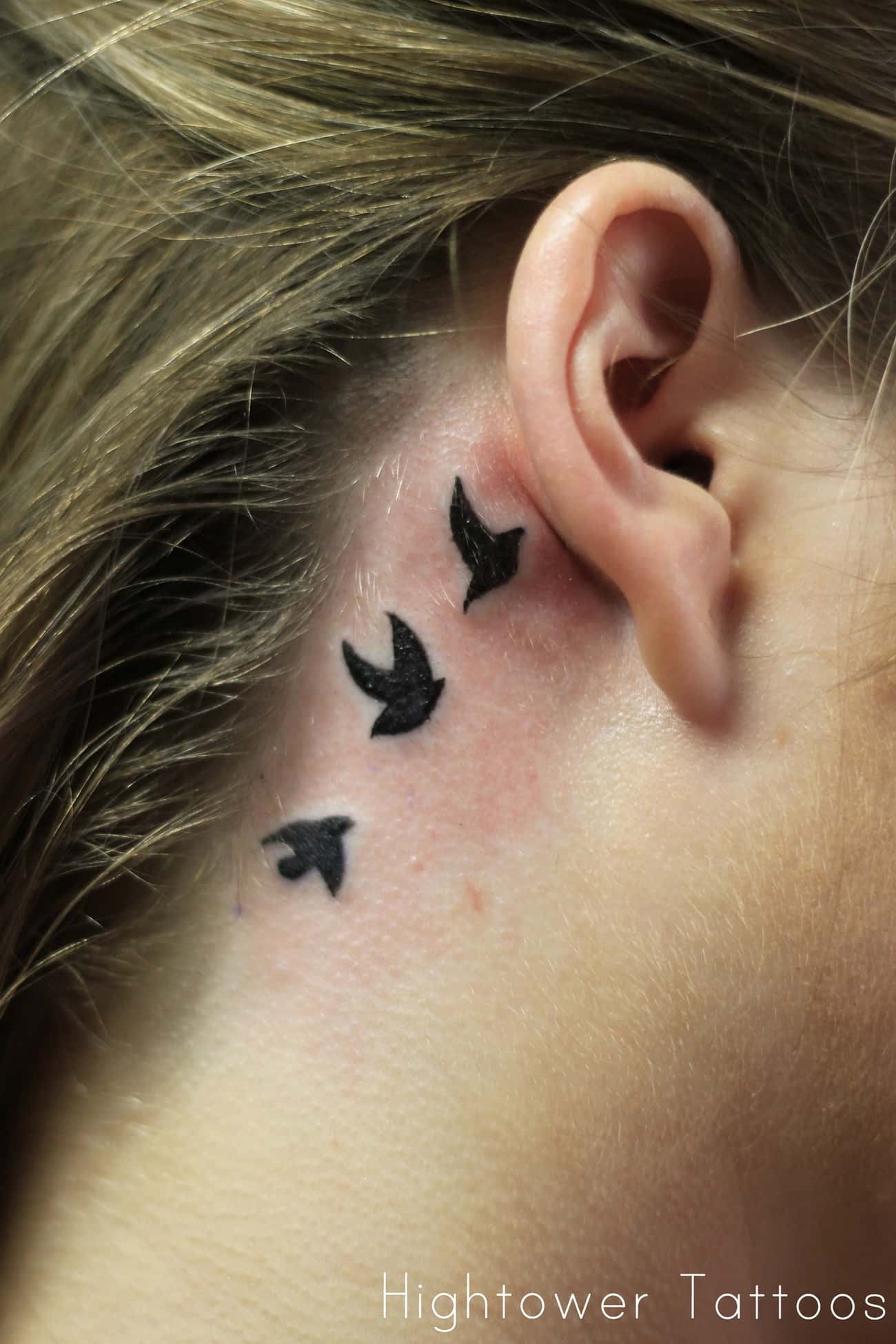 Bird Ear Tattoos