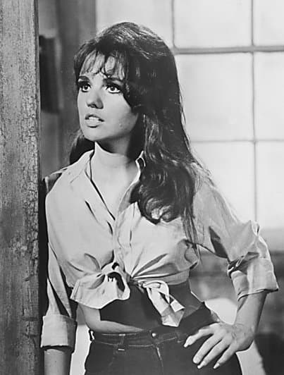 Sexy Pics Of Dawn Wells
