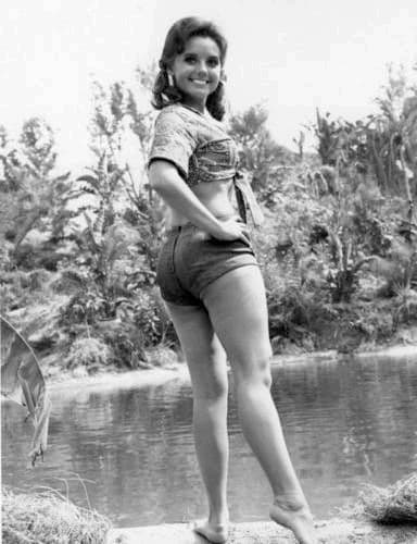 Image result for dawn wells
