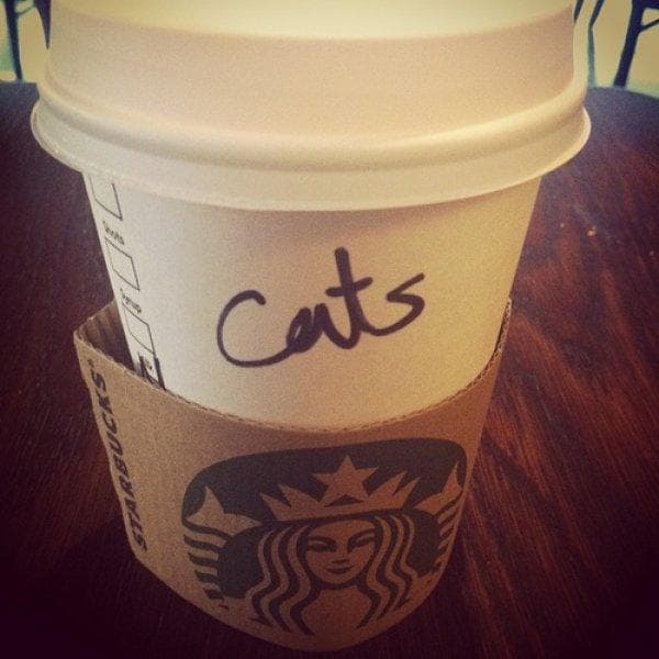 When You Need Coffee Right Meow on Random Best Starbucks Cup Spelling FAILs