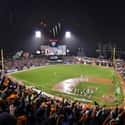Giants Game on Random Things To Do With Kids In California's East Bay