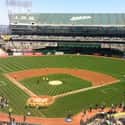 A's Game on Random Things To Do With Kids In California's East Bay