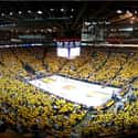 Golden State Warriors Game on Random Things To Do With Kids In California's East Bay