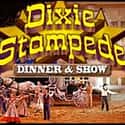 Dolly Parton's Dixie Stampede on Random Best Theme Restaurant Chains