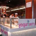 Yogurberry on Random Best Ice Cream & Frozen Yogurt Chains