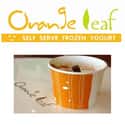 Orange Leaf on Random Best Ice Cream & Frozen Yogurt Chains