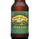 Sierra Nevada Torpedo Extra IPA on Random Best American Beers