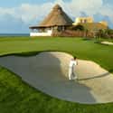 Fairmont Mayakoba on Random Best Golf Destinations in the World