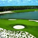 Moon Palace Golf Resort on Random Best Golf Destinations in the World