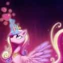 Princess Cadance on Random Best My Little Pony: Friendship Is Magic Characters