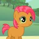 Babs Seed on Random Best My Little Pony: Friendship Is Magic Characters