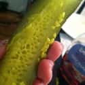 This Sliced Pickle on Random Vomit-Inducing Photos Will Trigger Your Trypophobia