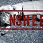 Banshee is listed (or ranked) 12 on the list The Best New Shows of 2013