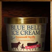 Blue Bell Homemade Vanilla