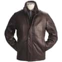 Andrew Marc New York on Random Best Men's Leather Jacket Brands