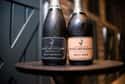 Billecart-Salmon on Random Best French Champagne Brands