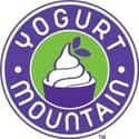 Yogurt Mountain on Random Best Ice Cream & Frozen Yogurt Chains