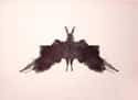 Moth on Random Rorschach Inkblots and How You Are Supposed to See Them