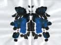 A Butterfly That Isn't Doing It Right on Random Rorschach Inkblots and How You Are Supposed to See Them