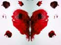 A Heart Are You Kidding Me on Random Rorschach Inkblots and How You Are Supposed to See Them
