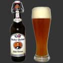 Hacker-Pschorr Weiss Bock on Random Best German Beers
