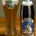 Ayinger Weizen-Bock on Random Best German Beers