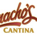 Camacho's Cantina on Random Best Restaurants at LAX